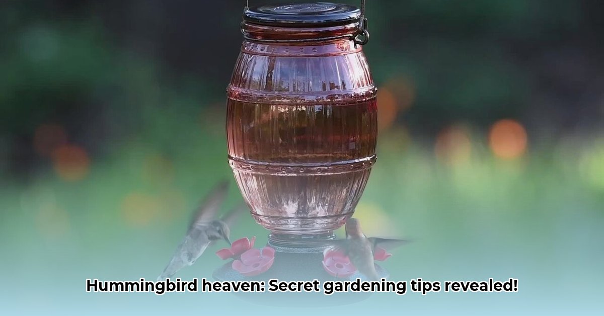 hummingbird-feeder-tractor-supply